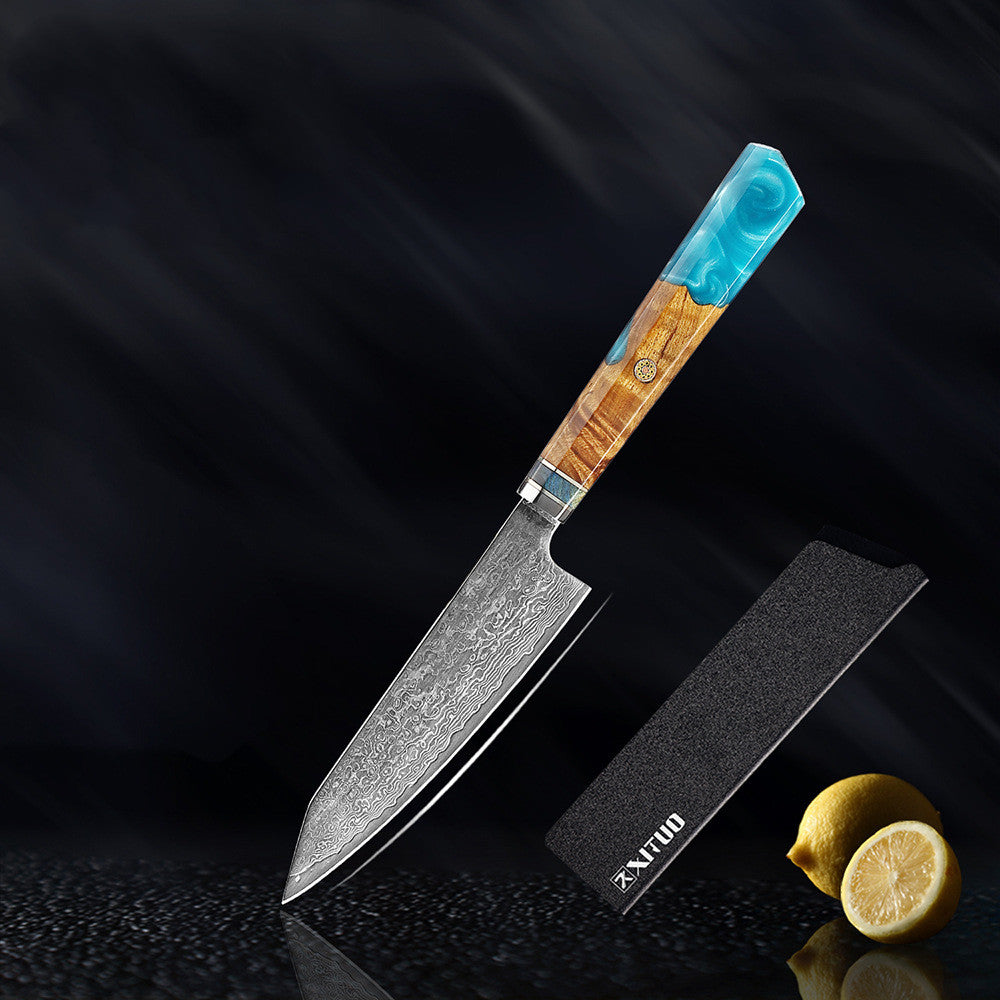 Damascus Steel Santoku Knife
