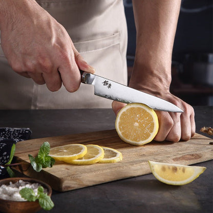 Sanhe Steel Kitchen Knife - BlackForge